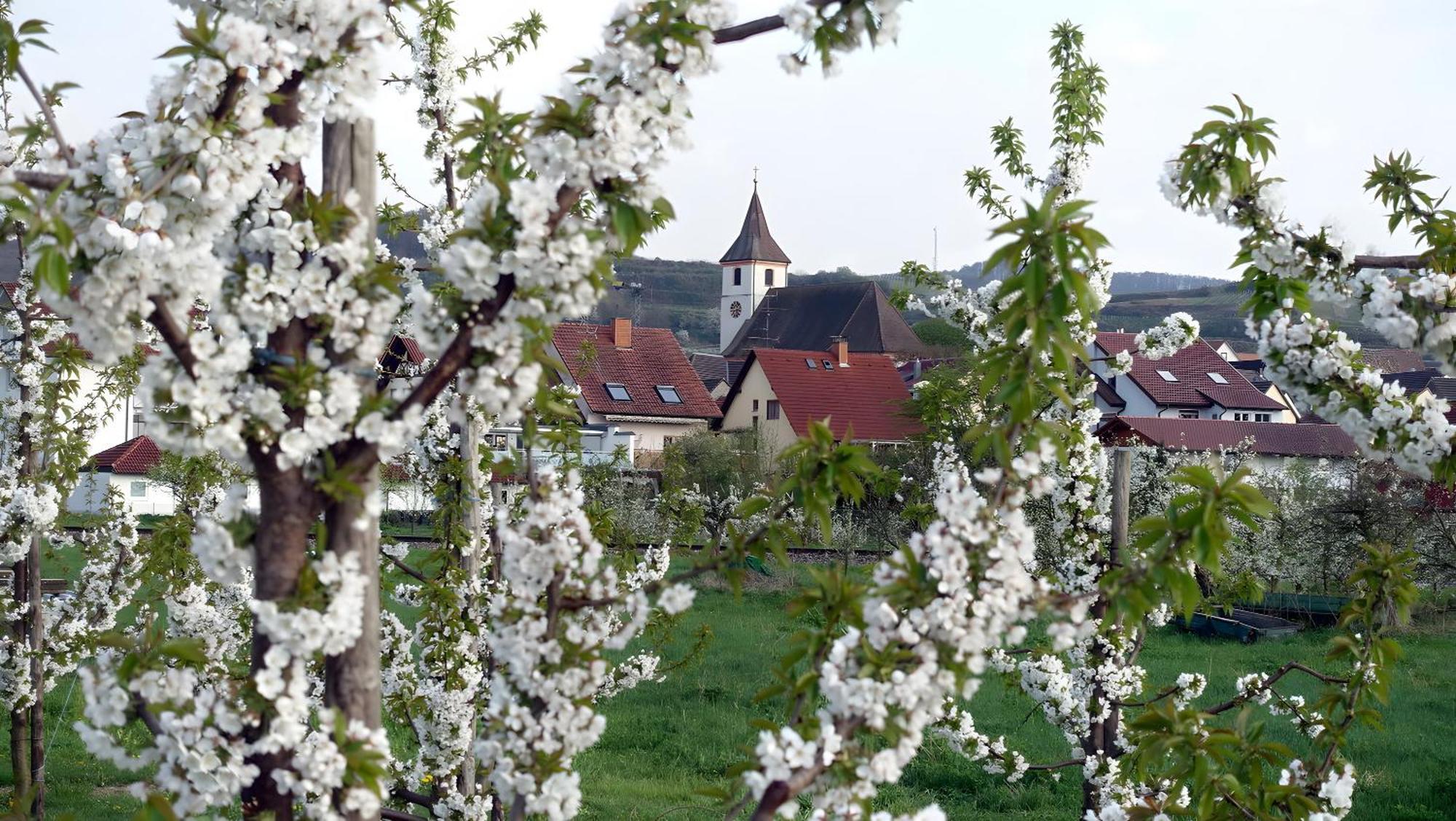 Ferienwohnung Fliegerhorst 恩丁根 外观 照片